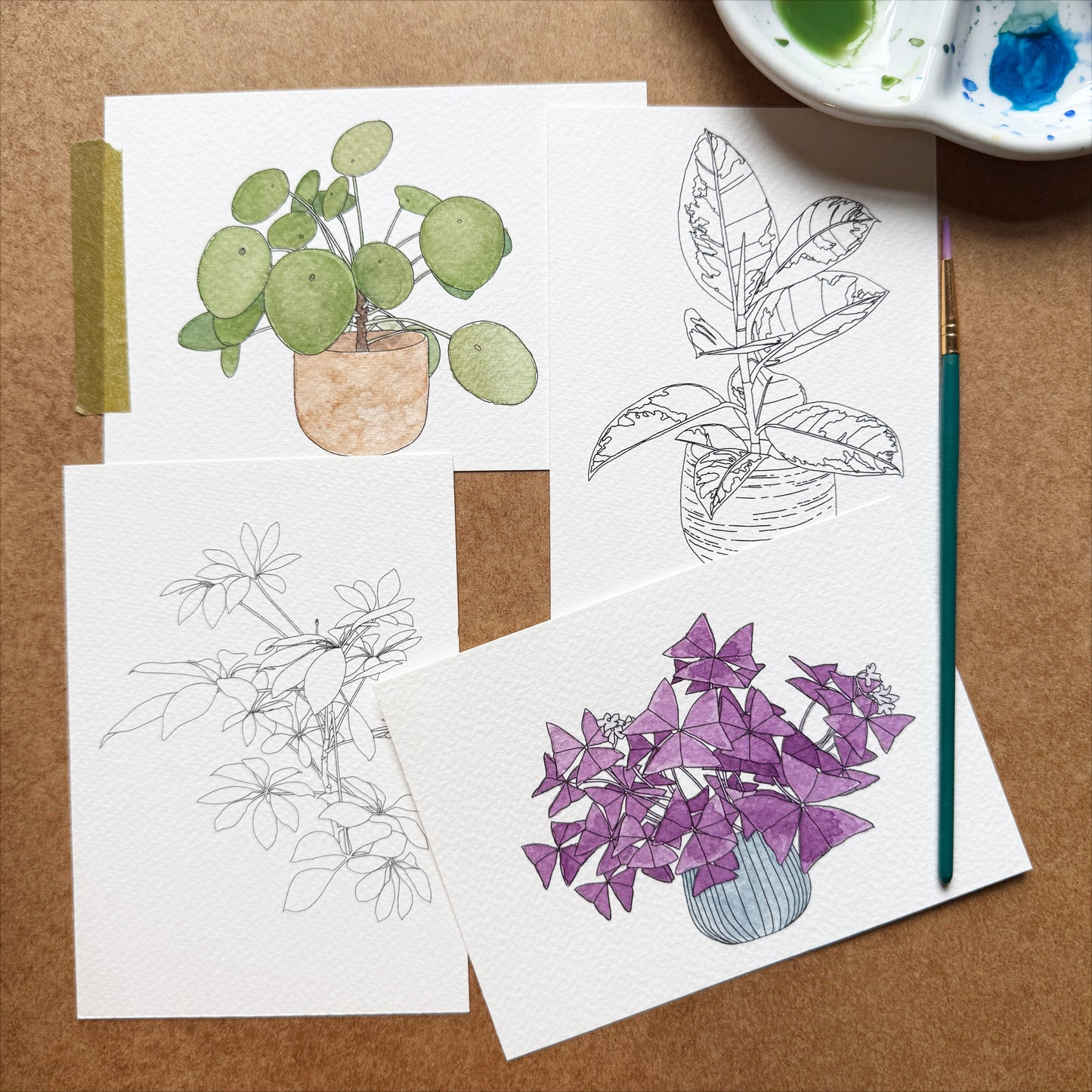Paint Your Own Watercolour Houseplants