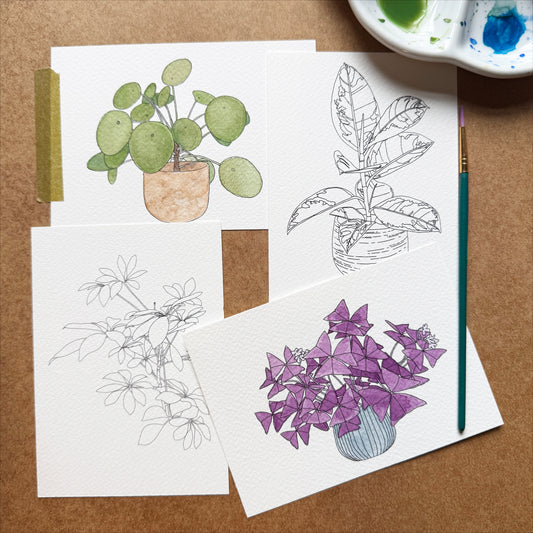 Paint Your Own Watercolour Houseplants