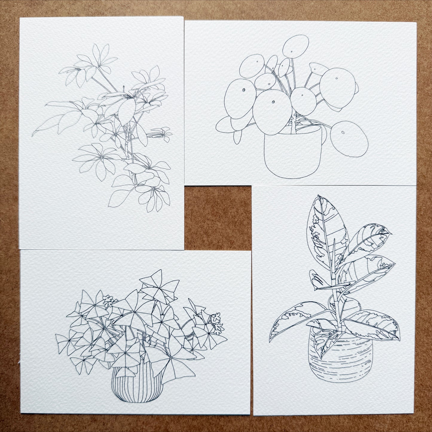 Paint Your Own Watercolour Houseplants