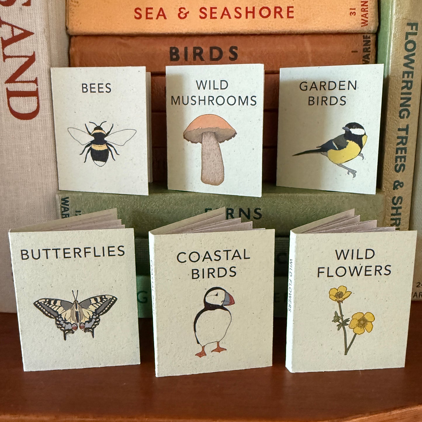 Tiny Books - Box of 6 nature books - katebroughton