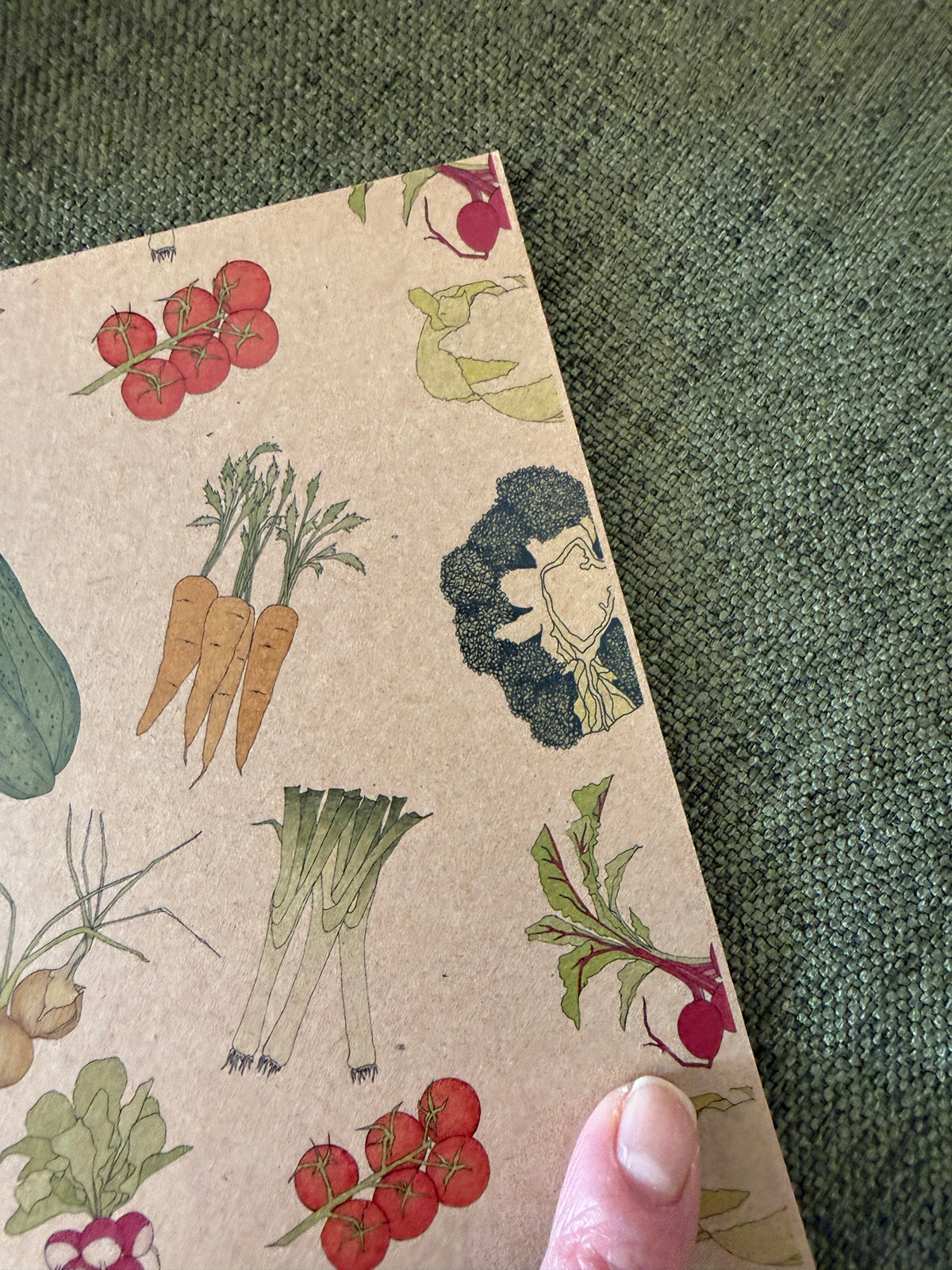 Veg Notebook - SECONDS SALE - misprint - katebroughton