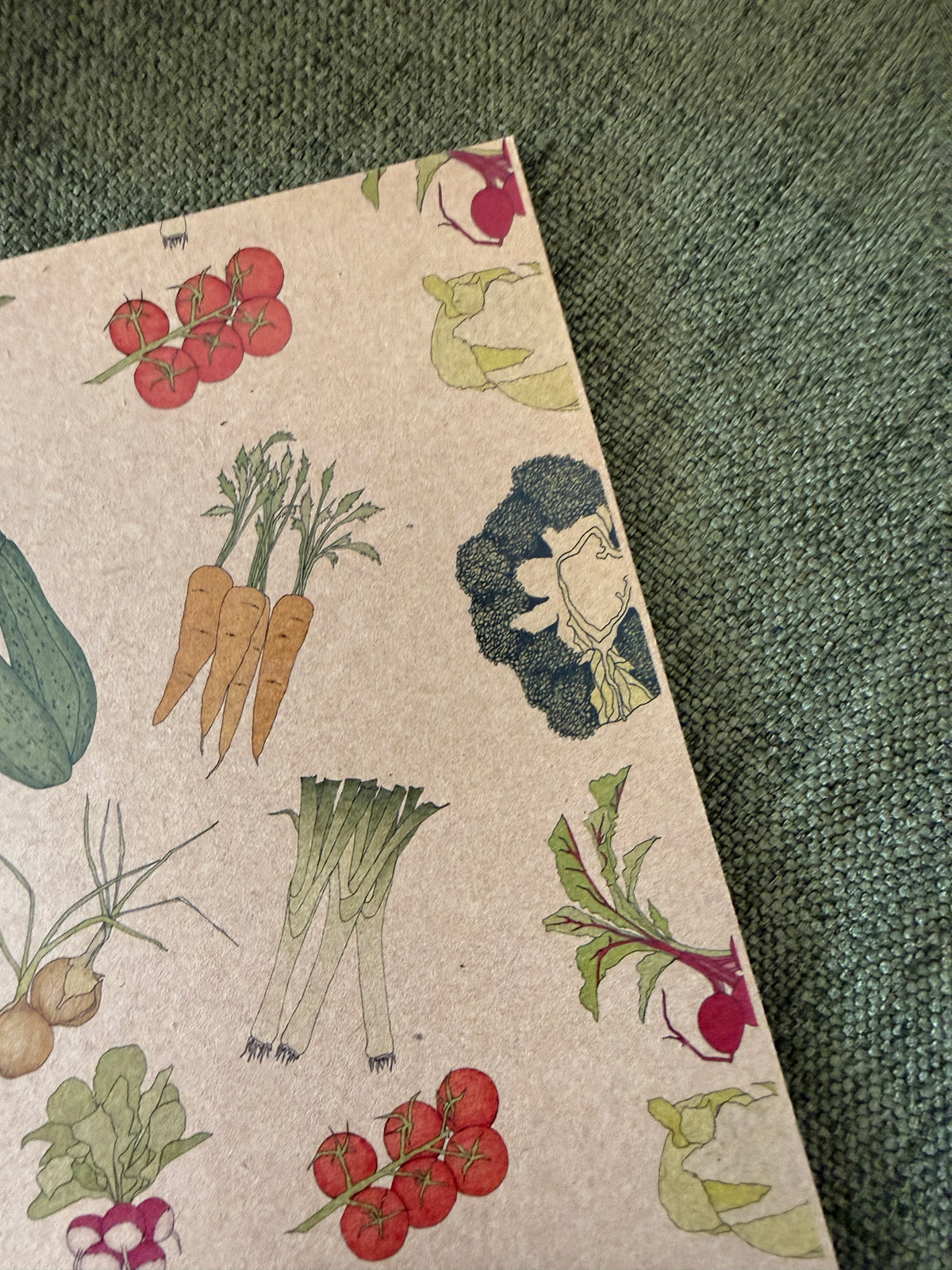 Veg Notebook - SECONDS SALE - misprint - katebroughton