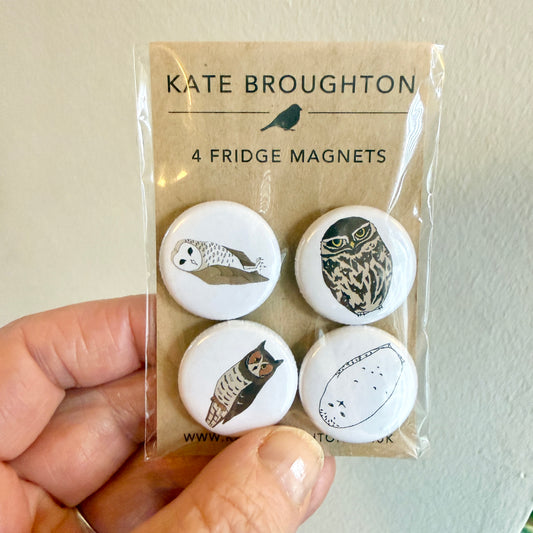 Owl fridge magnet set - SUPER SECONDS - discontinued