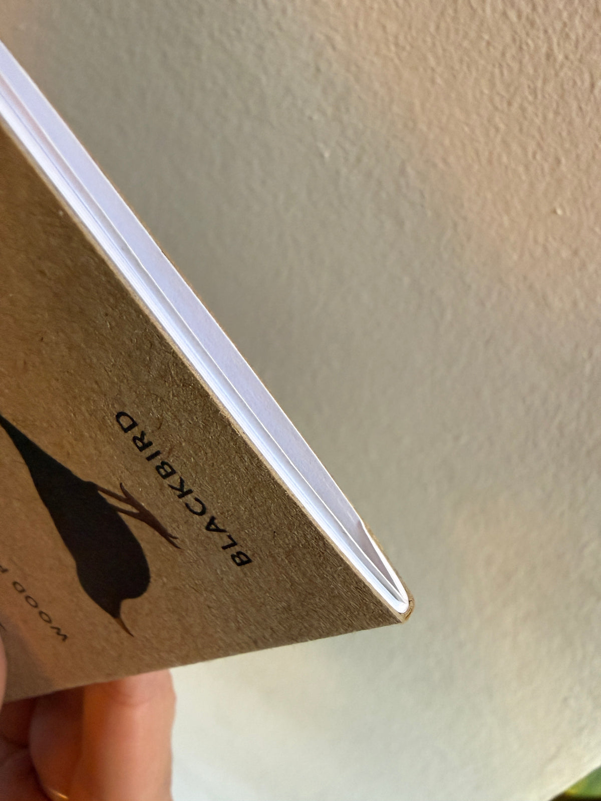 Bird Notebook - SECONDS SALE - damaged - katebroughton