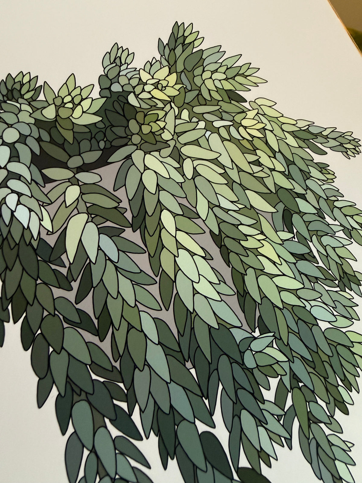 Donkey tail A4 print - SECONDS SALE