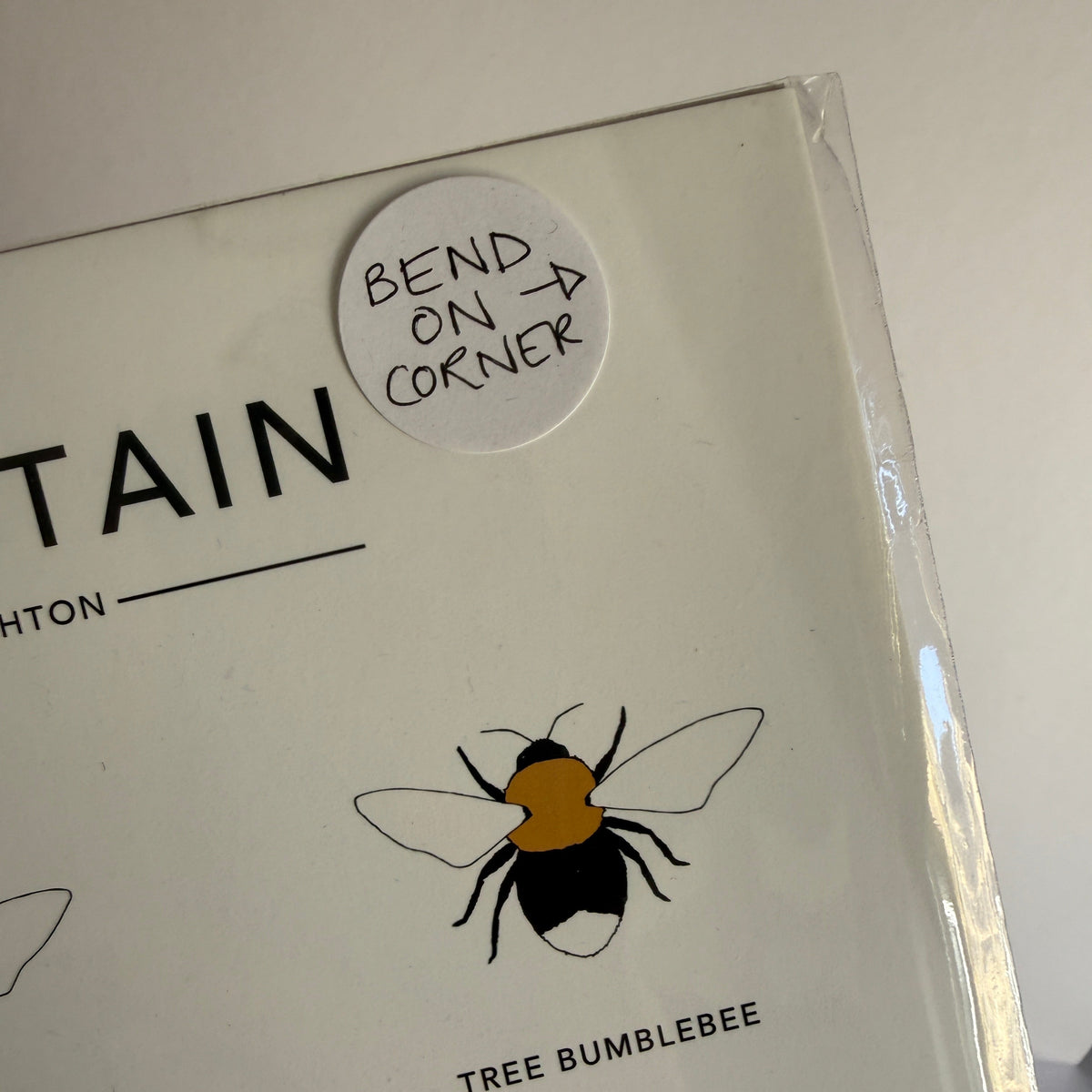 Bees of Britain A4 print - SECONDS SALE