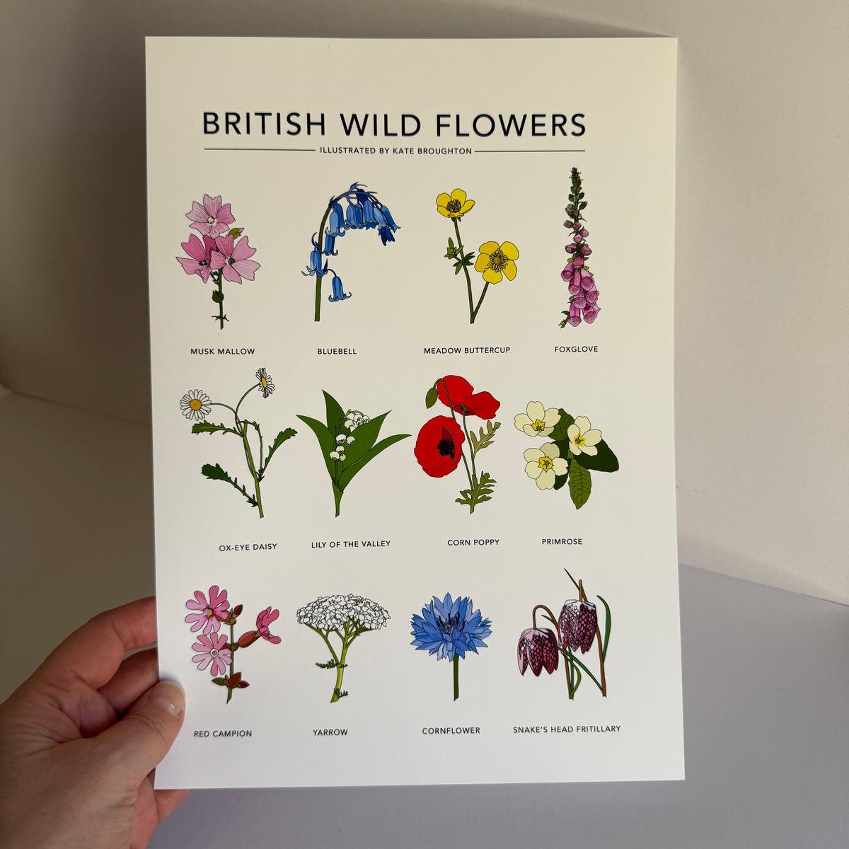 British Wild Flowers A4 print - SECONDS SALE- misprint