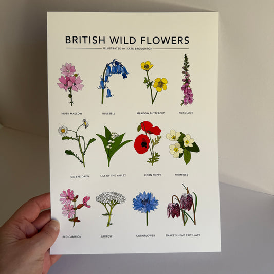 British Wild Flowers A4 print - SECONDS SALE- misprint