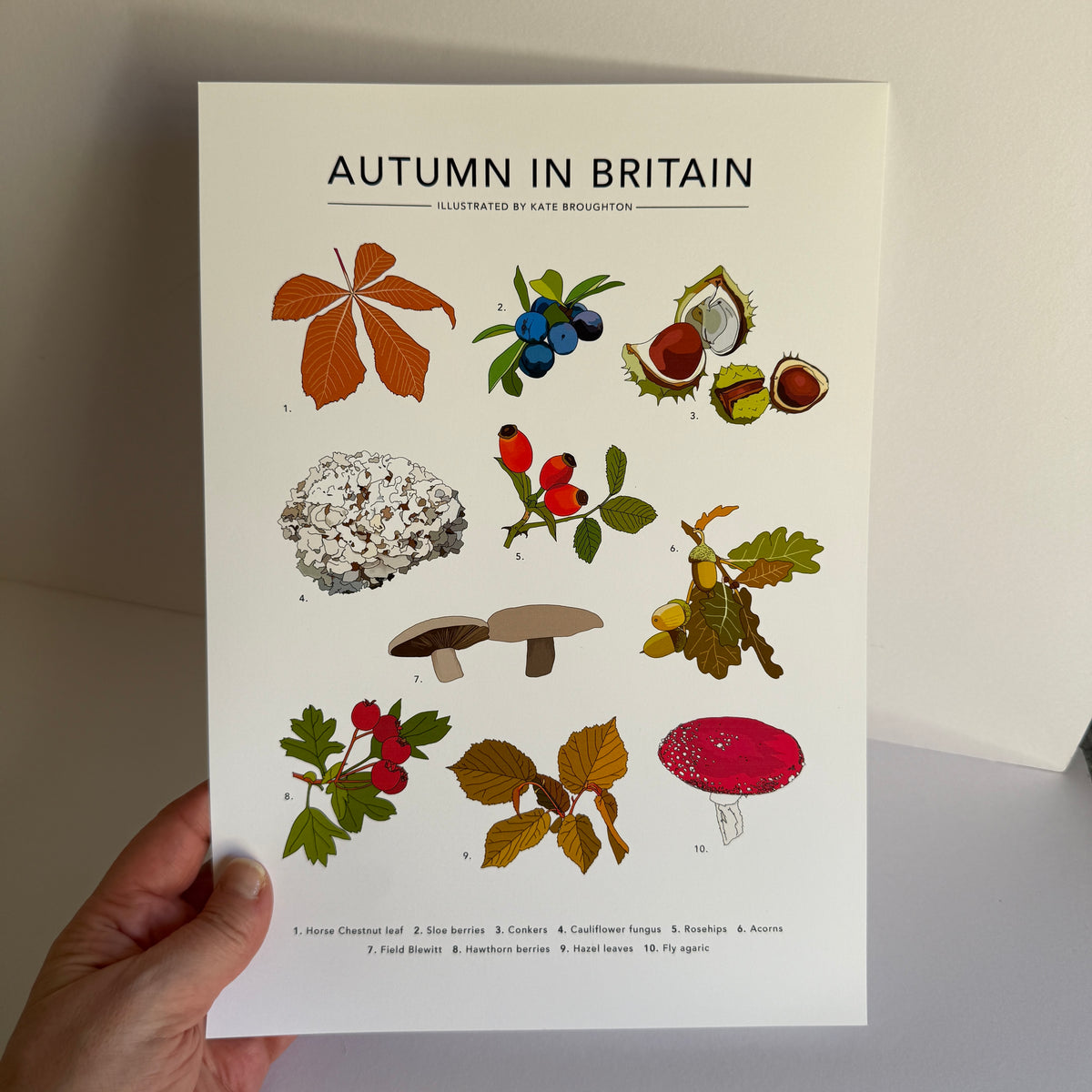Autumn in Britain A4 print - SECONDS SALE