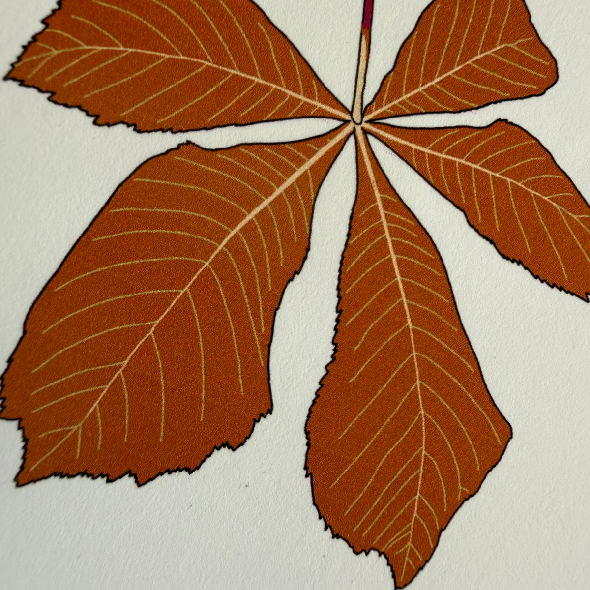 Autumn in Britain A4 print - SECONDS SALE