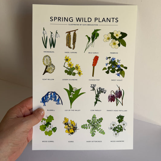 Spring Wild Plants A4 print - SECONDS SALE
