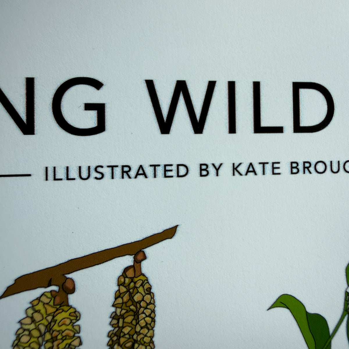 Spring Wild Plants A4 print - SECONDS SALE