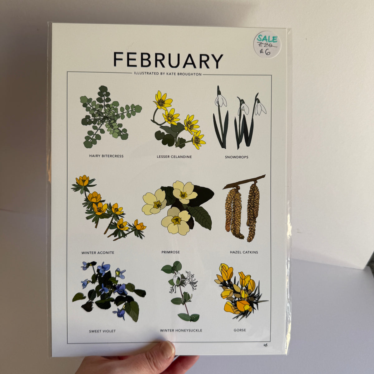 February seasonal plants A4 print - SECONDS SALE