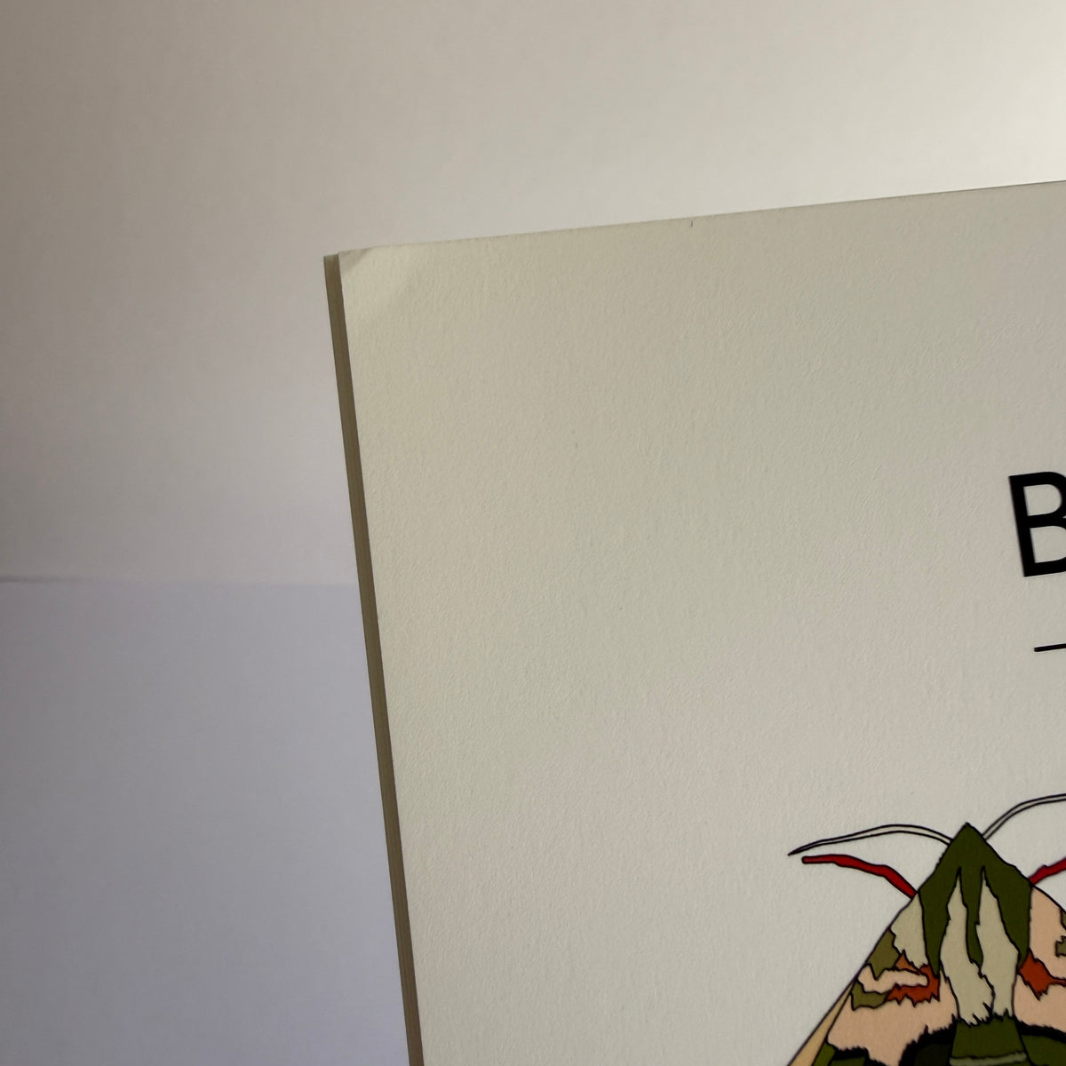 British Moths A4 print - SECONDS SALE - minor damage
