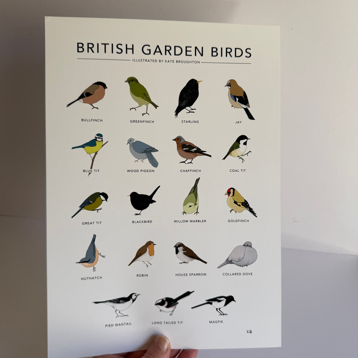 British Garden Birds A4 print - SECONDS SALE - old version