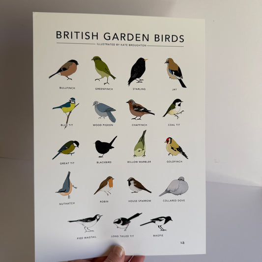 British Garden Birds A4 print - SECONDS SALE - old version