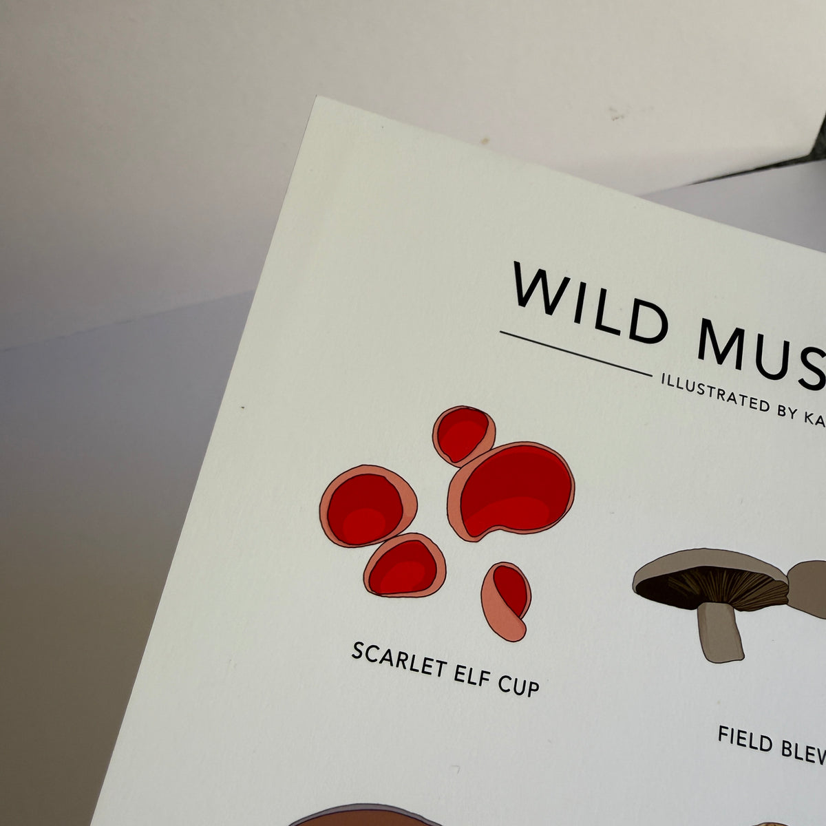 Wild Mushrooms A4 print - SECONDS SALE