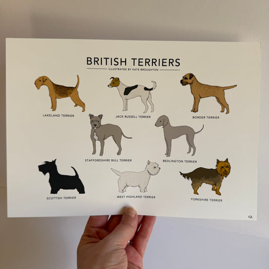 British Terriers A4 landscape print - SECONDS SALE