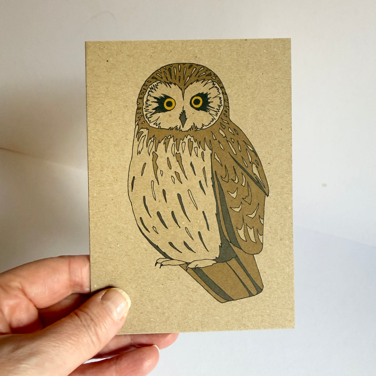 Short-eared Owl Card - SUPER SECONDS - sample - katebroughton