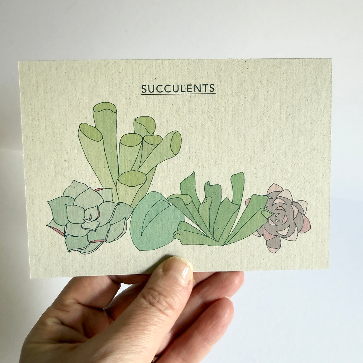 Succulents Card - SUPER SECONDS - sample - katebroughton