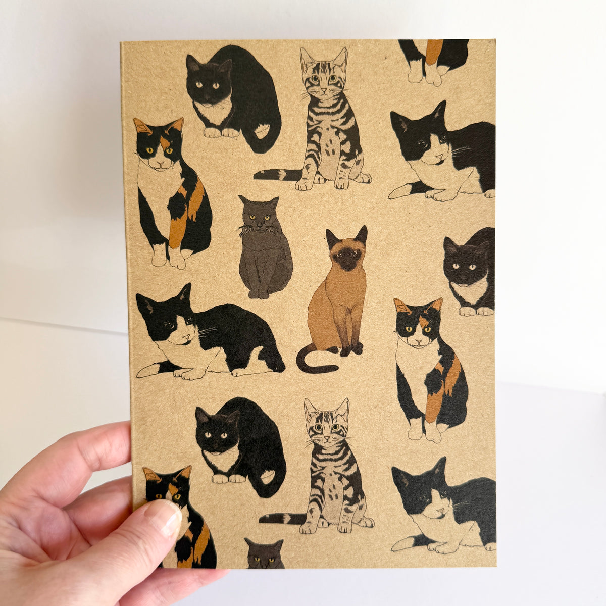 Cat Notebook - SECONDS SALE - damaged - katebroughton