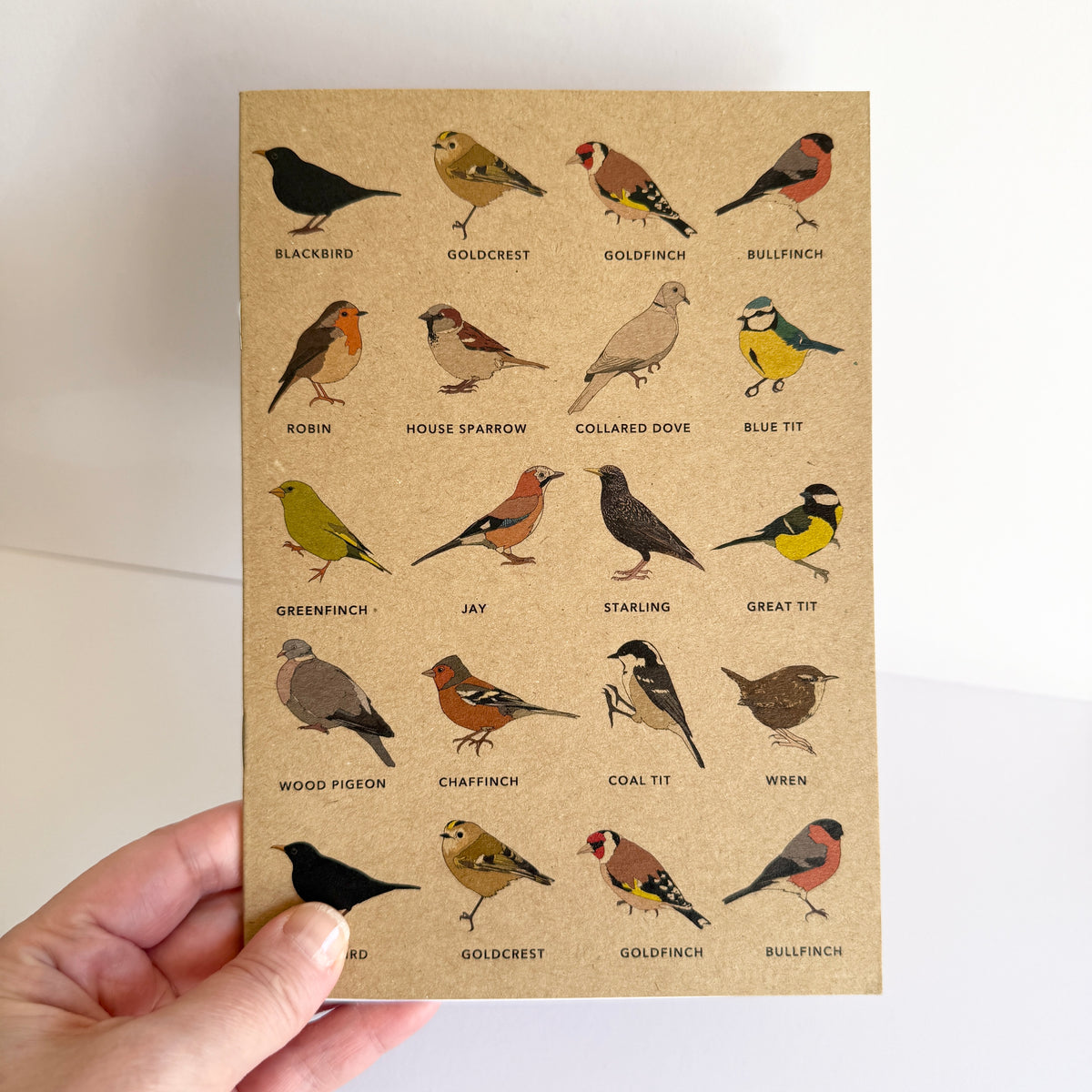 Bird Notebook - SECONDS SALE - damaged - katebroughton