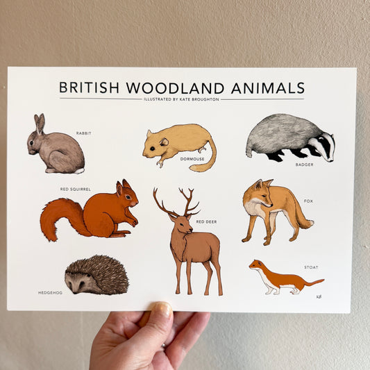 British Woodland Animals A4 landscape print - SECONDS SALE