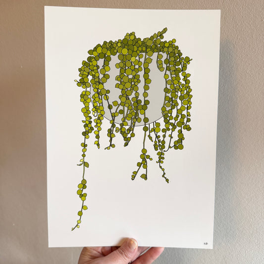 String of Pearls A4 print - SECONDS SALE