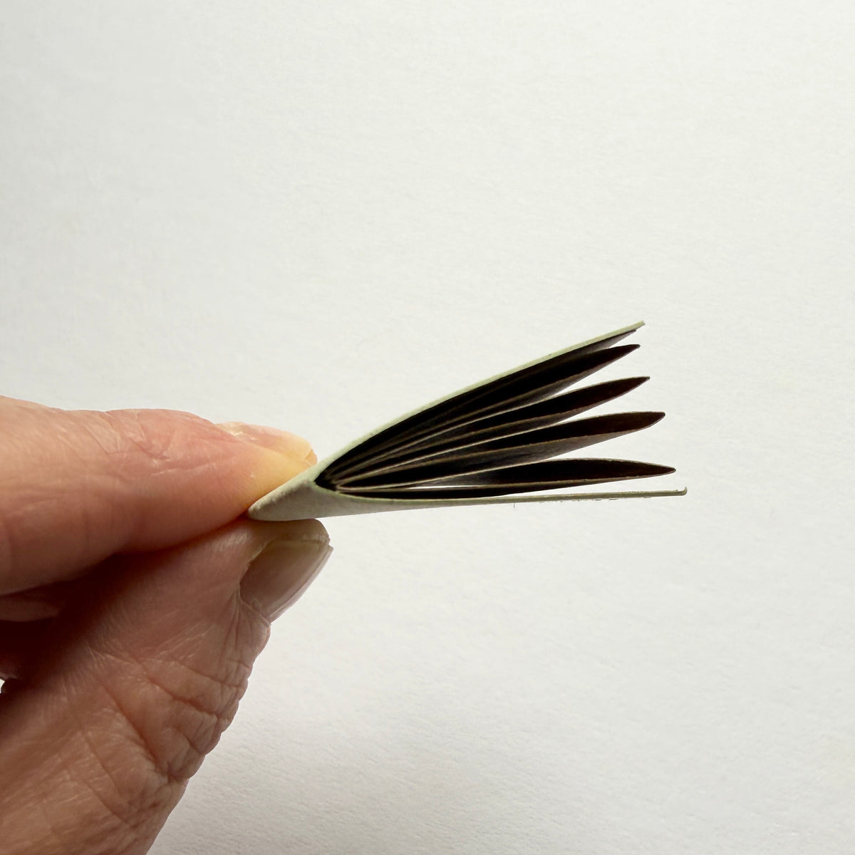 teeny tiny book of coffee - sample sale