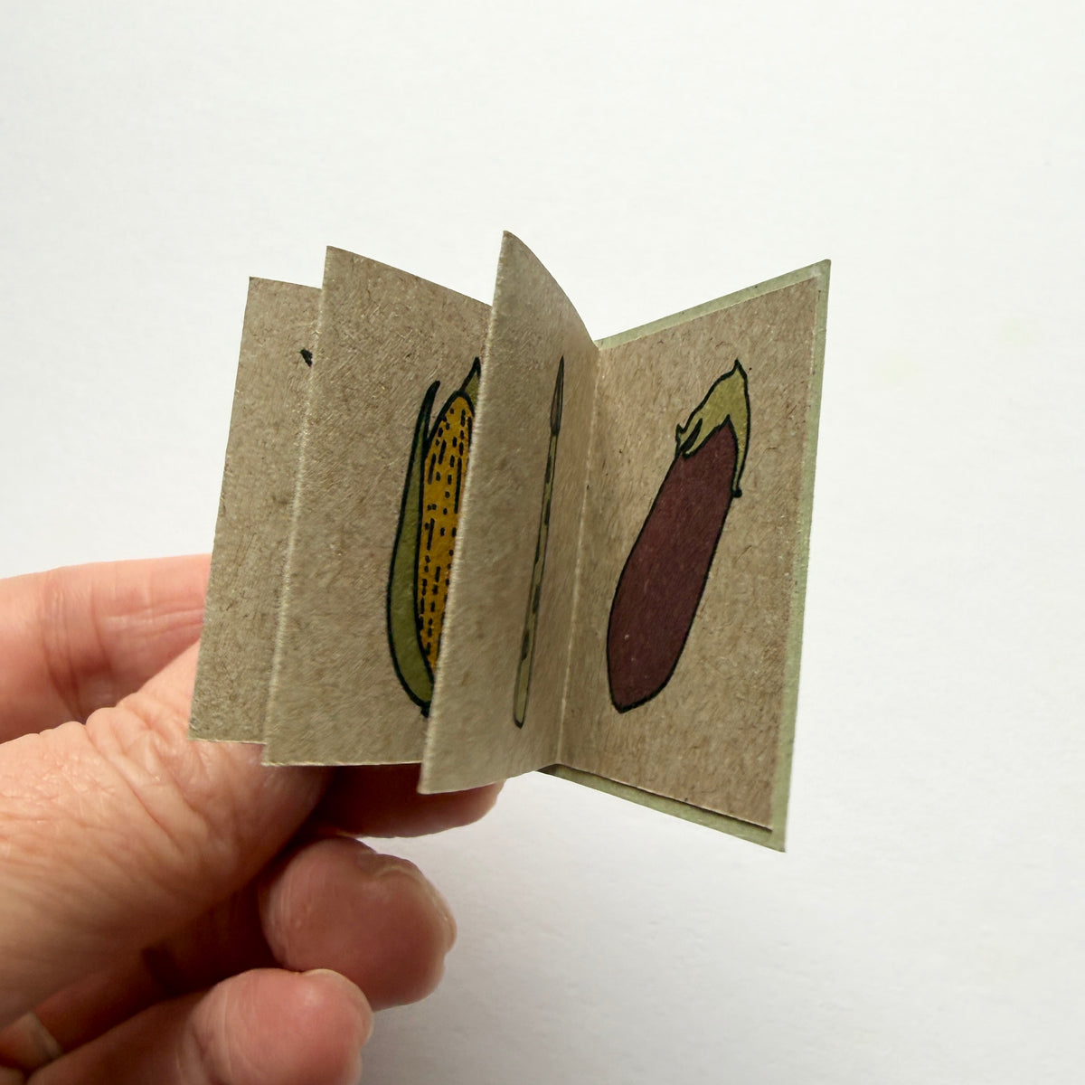 teeny tiny book of veg - sample sale