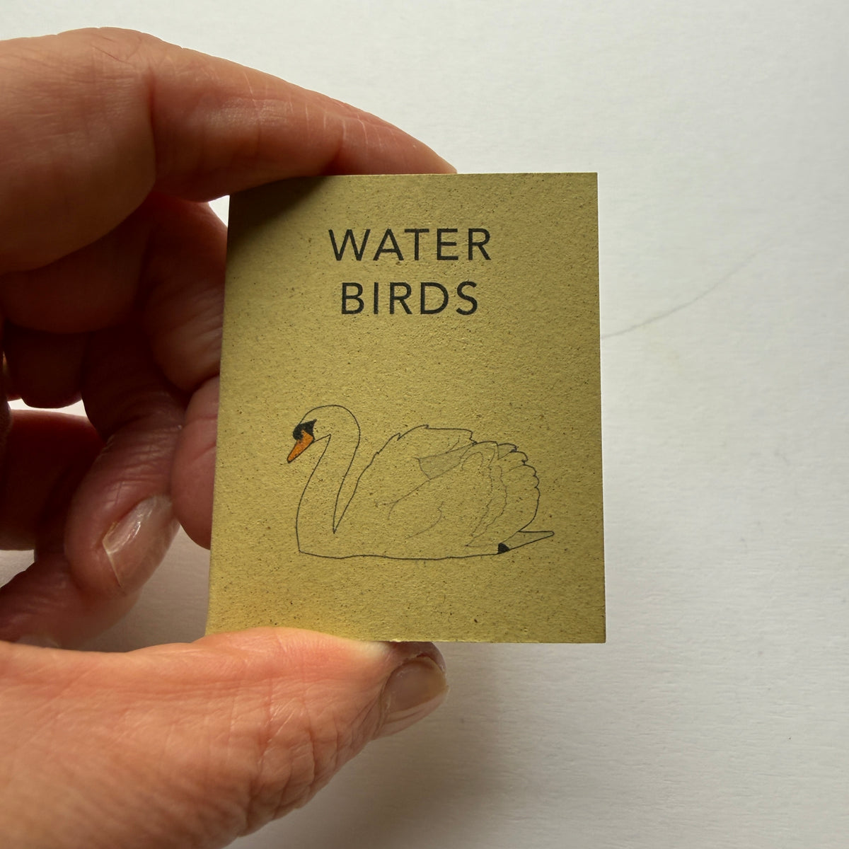 tiny book of water birds sample - sale