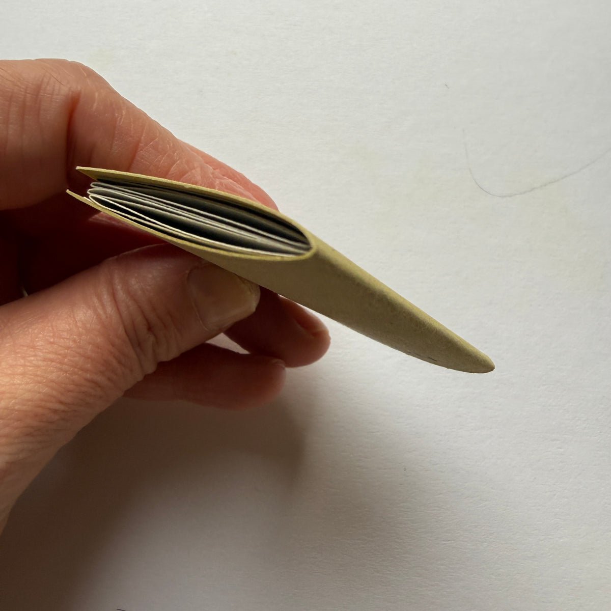 tiny book of water birds sample - sale