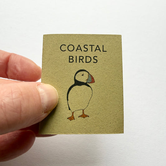 tiny book of coastal birds sample - sale