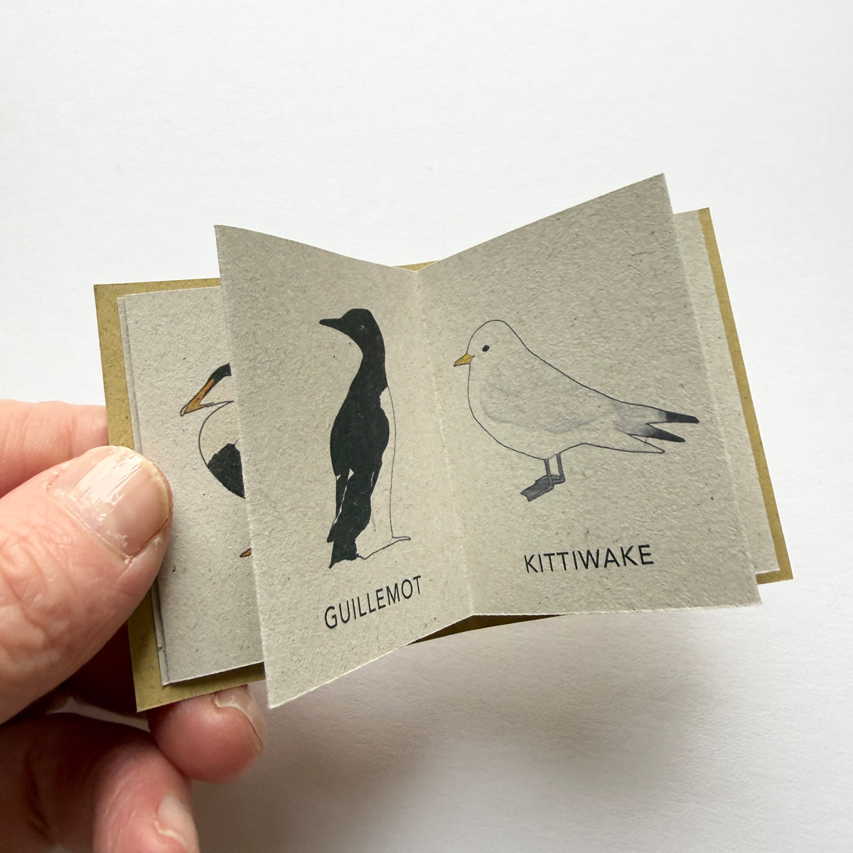 tiny book of coastal birds sample - sale