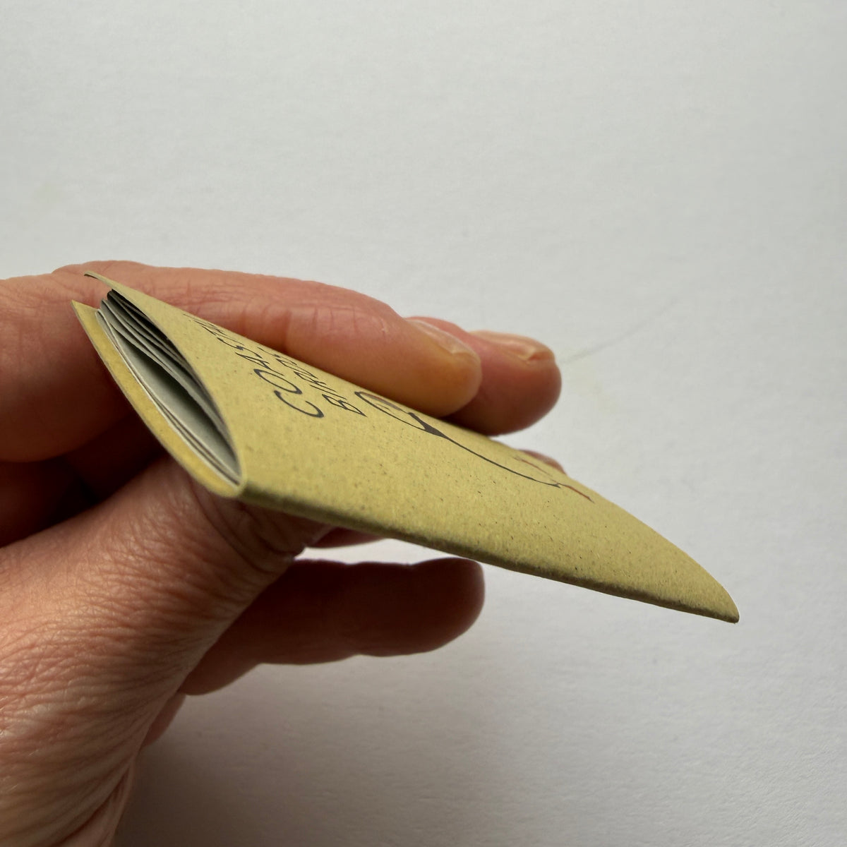 tiny book of coastal birds sample - sale