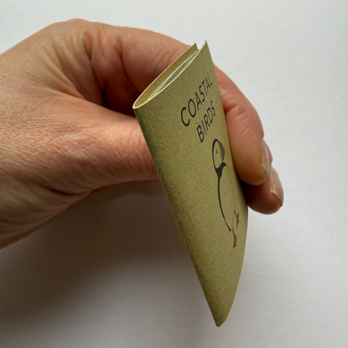 tiny book of coastal birds sample - sale