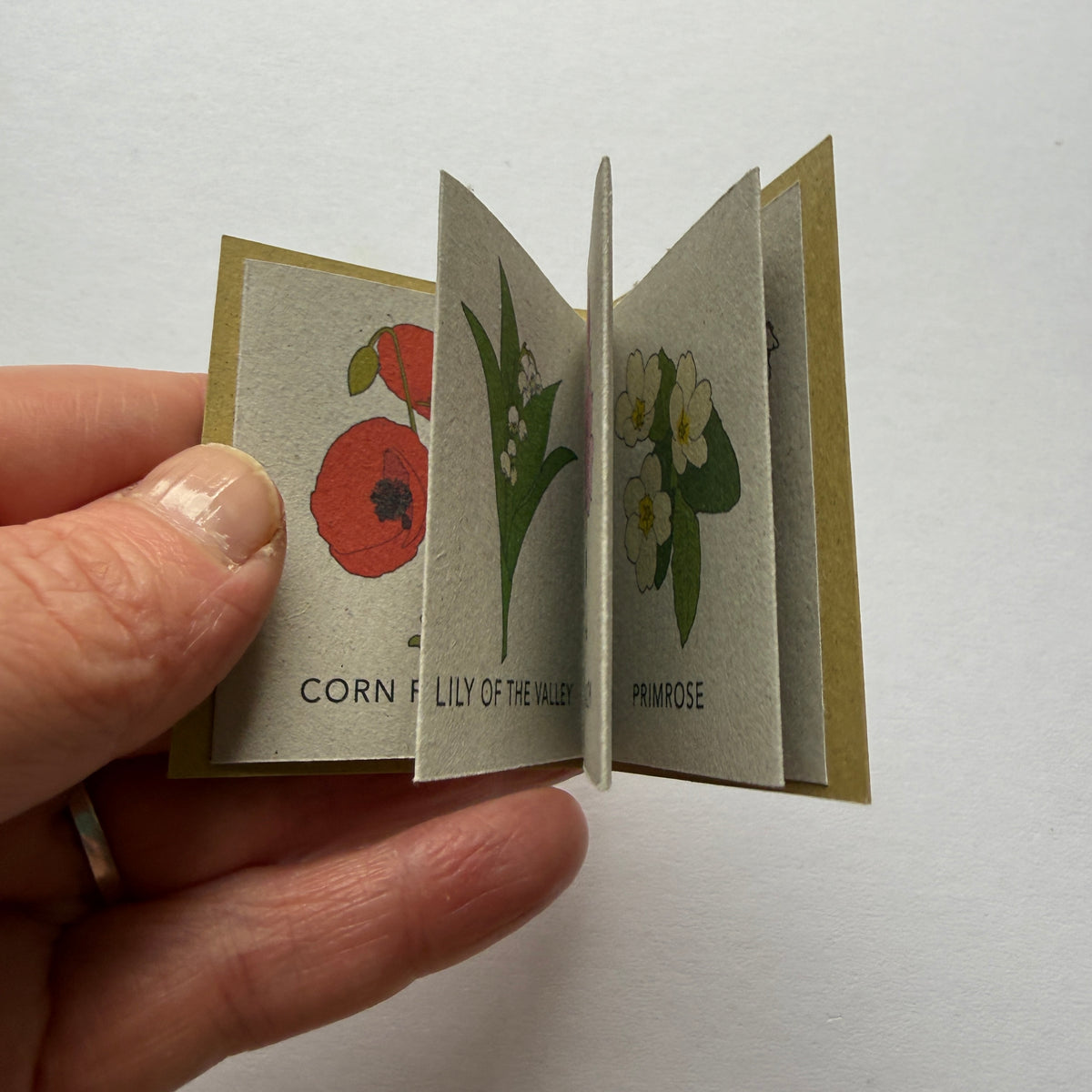 tiny book of wild flowers sample - sale