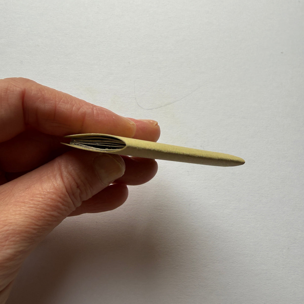 tiny book of wild flowers sample - sale