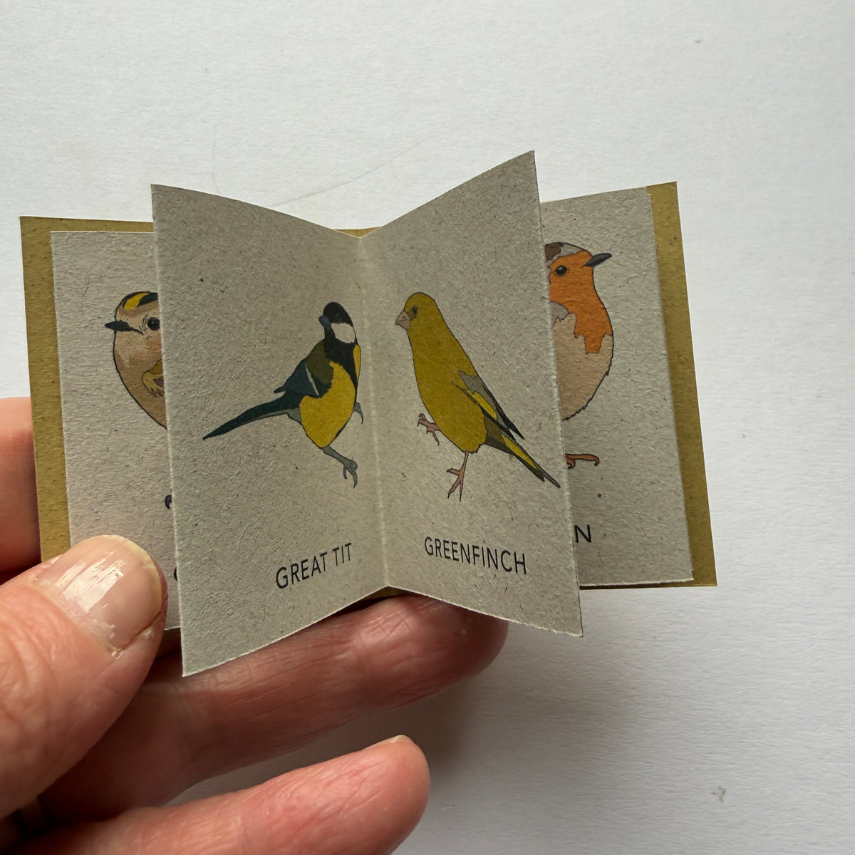 tiny book of garden birds sample - sale