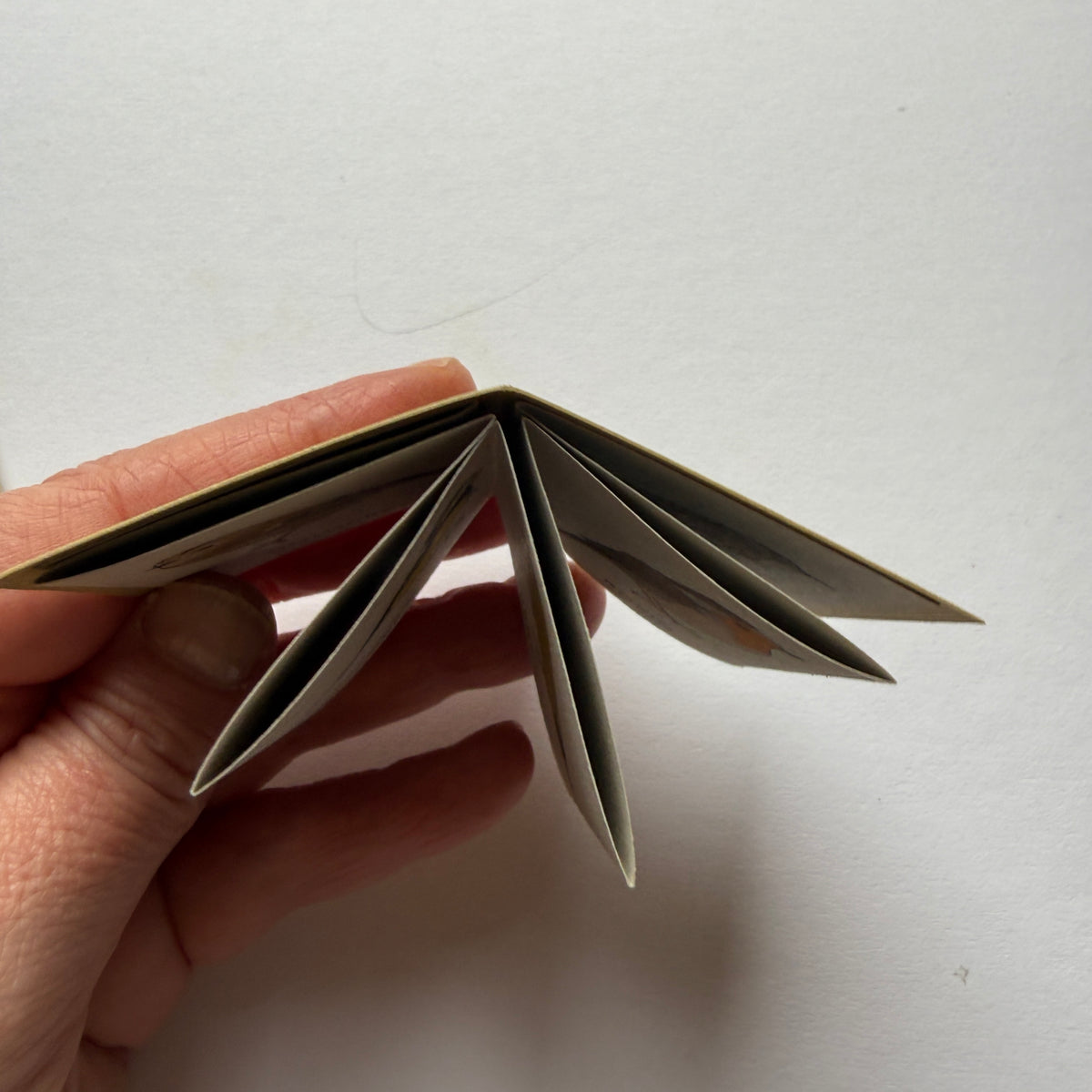 tiny book of garden birds sample - sale