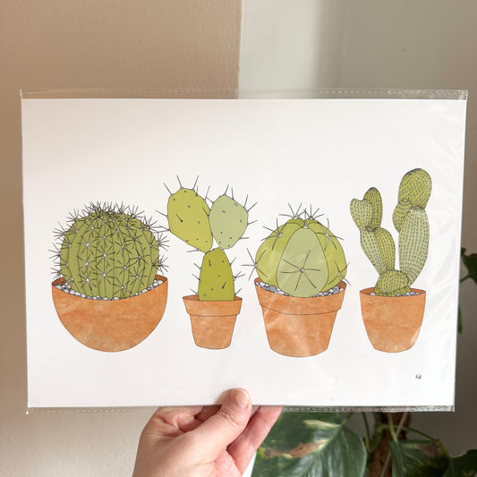Cacti A4 print - SECONDS SALE - discontinued