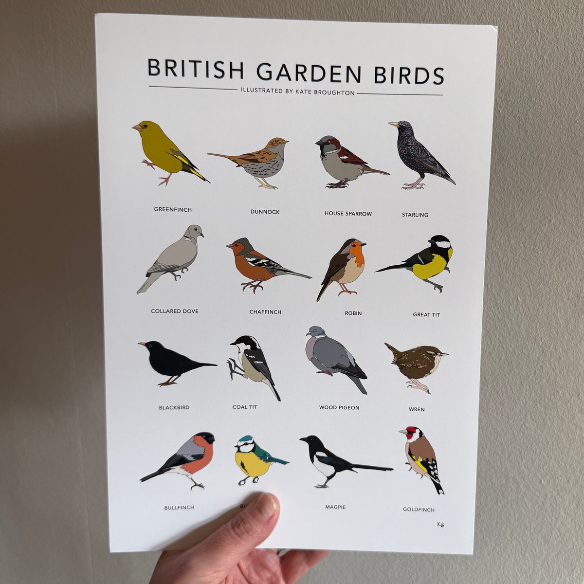 British Garden Birds A4 print - SECONDS SALE - minor damage