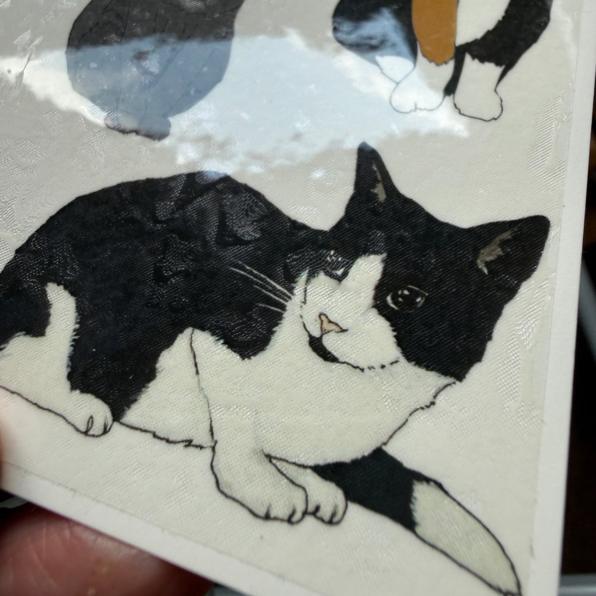Cat temporary tattoos - SECONDS SALE - damaged