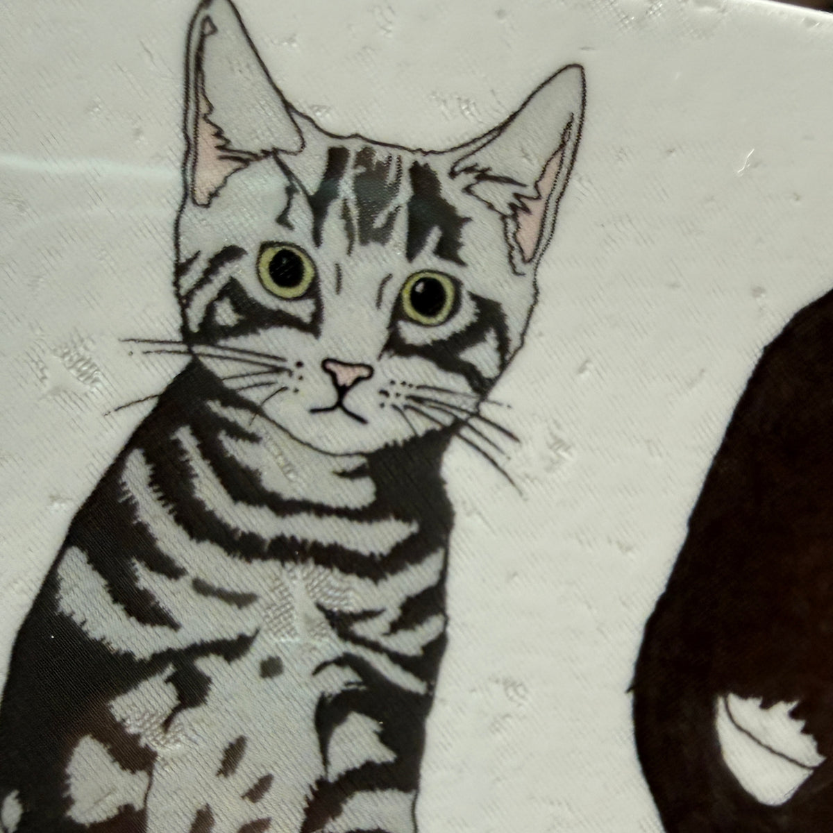 Cat temporary tattoos - SECONDS SALE - damaged