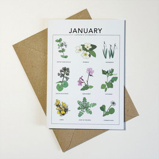Illustrated month card - seasonal wild plants & flowers