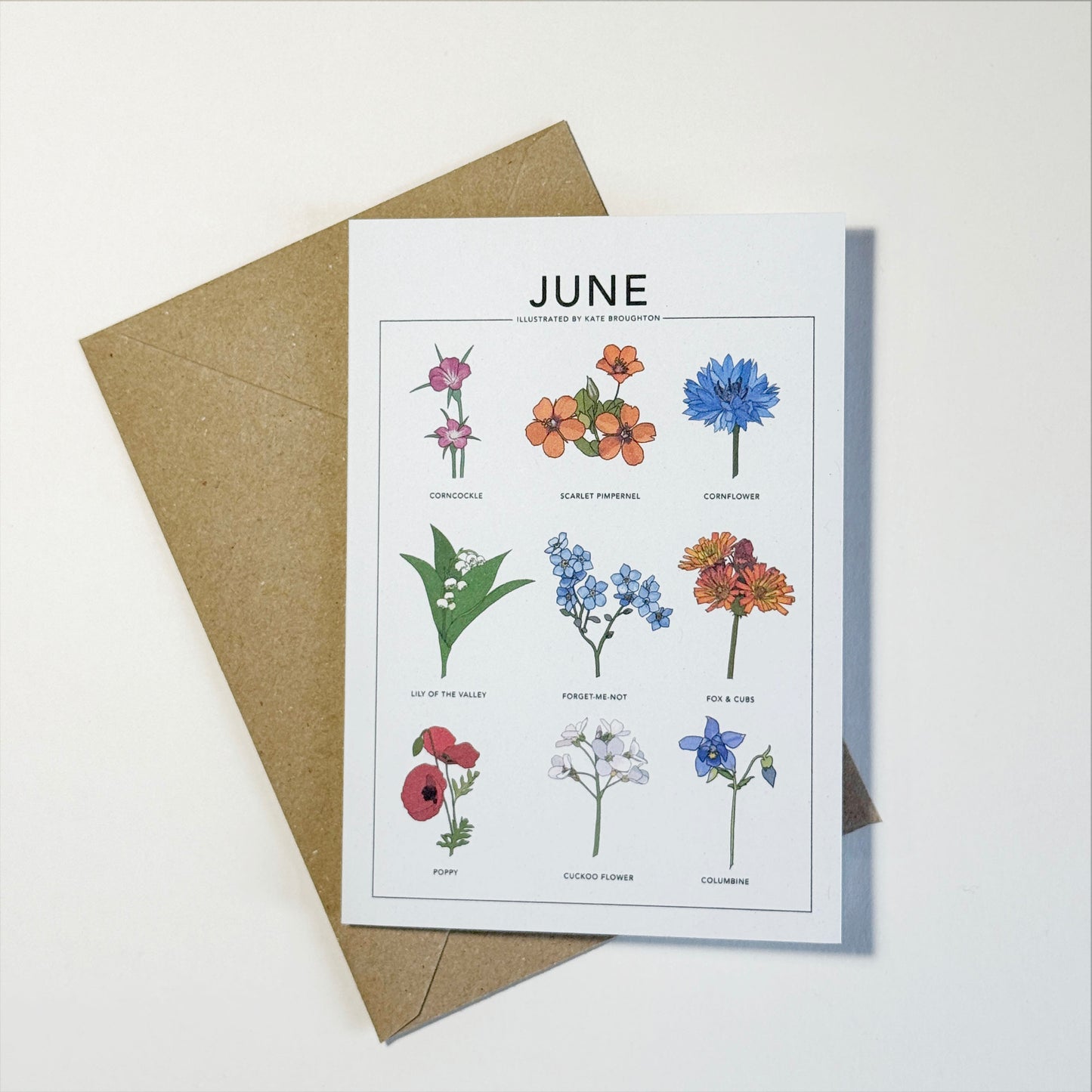 Illustrated month card - seasonal wild plants & flowers