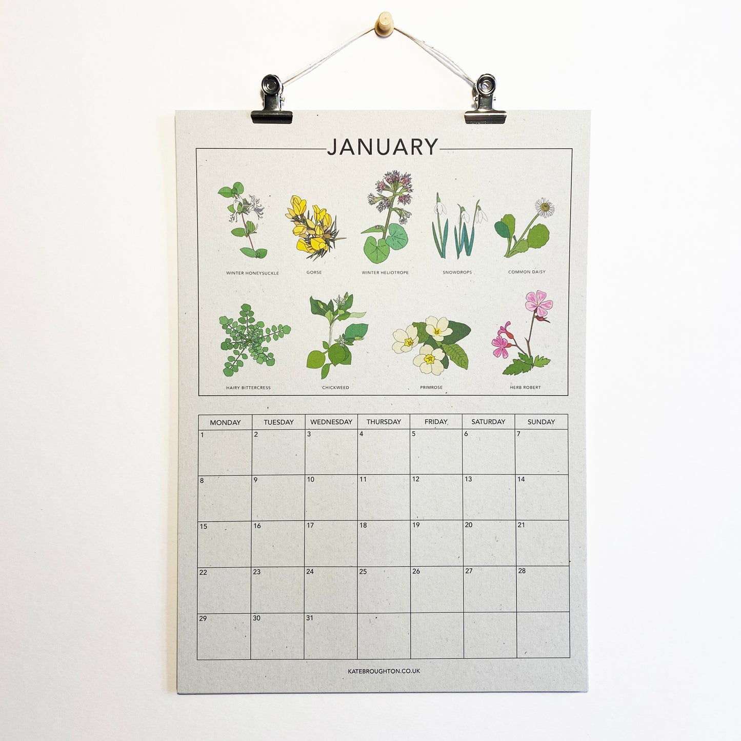 2024 Illustrated Wall Calendar