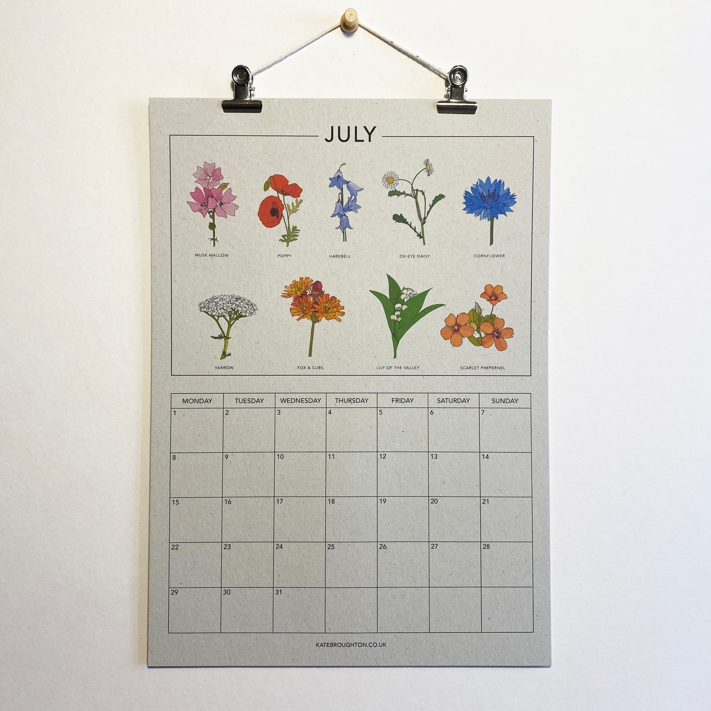 2024 Illustrated Wall Calendar