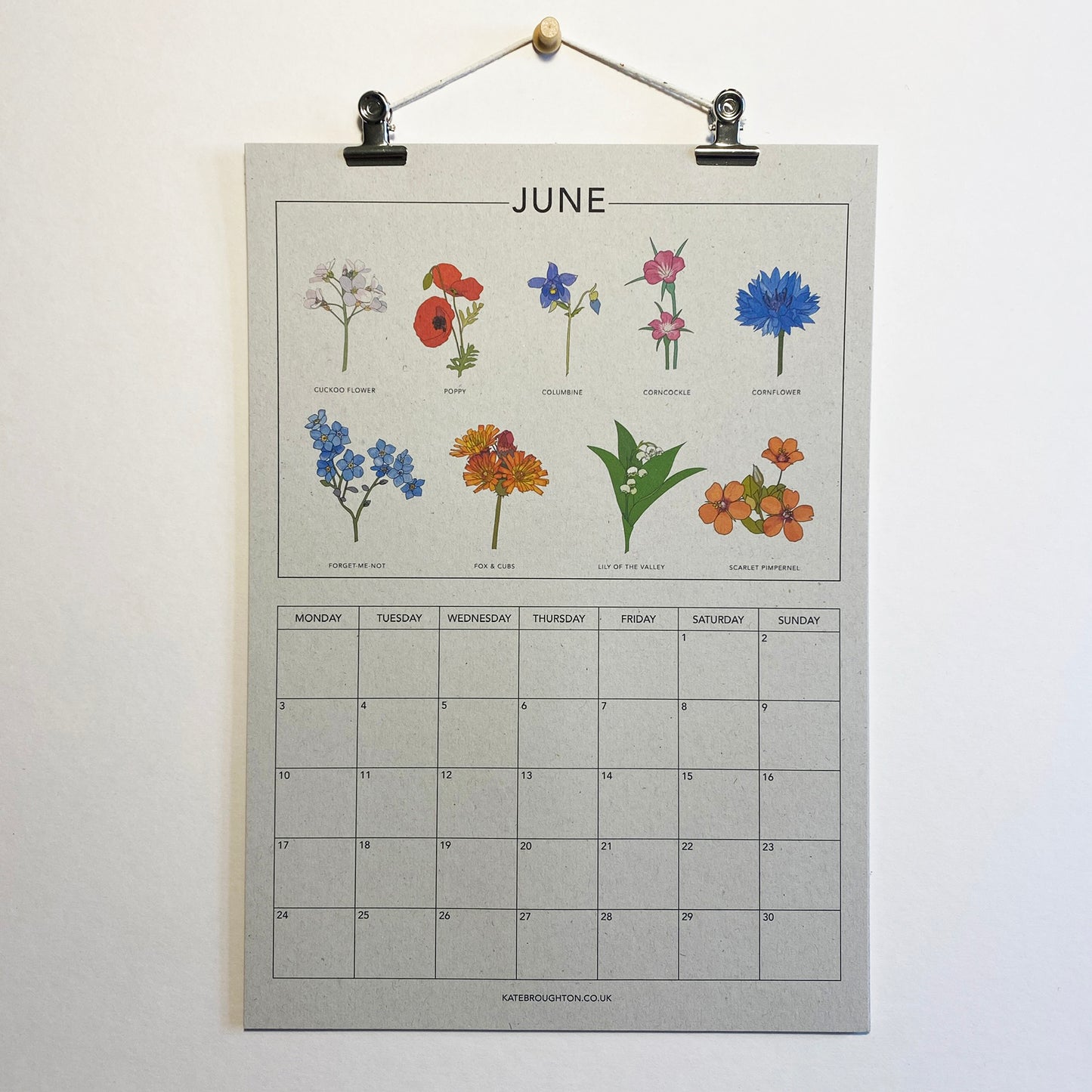 2024 Illustrated Wall Calendar