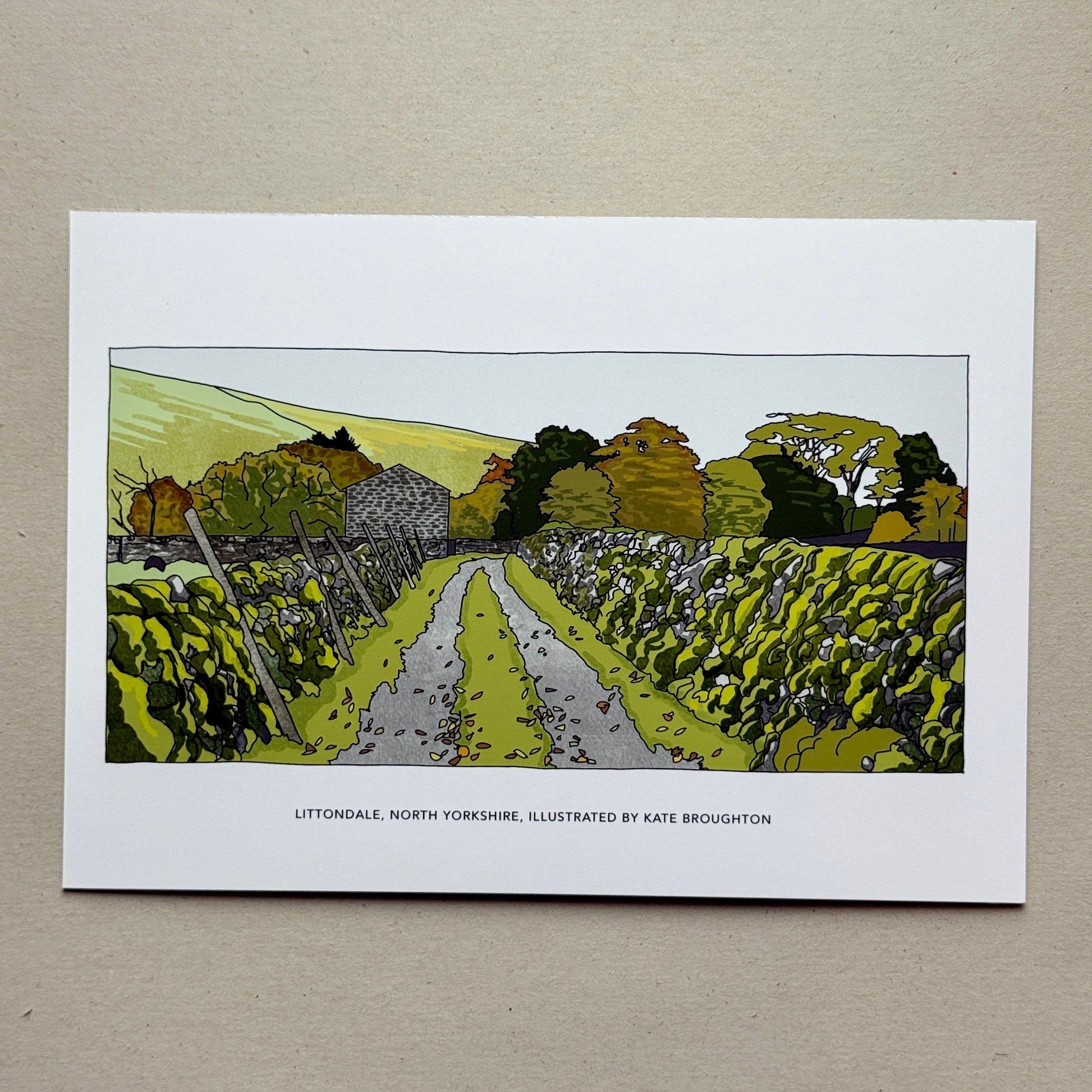 Illustration of a rural landscape with a path. Labelled: Littondale, North Yorkshire, Illustrated by Kate Broughton.
